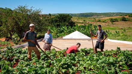 Agricultura Familiar de Base Agroecológica, Gênero e Resistência