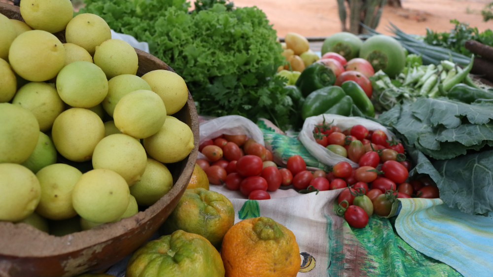 Agricultura familiar fornece 100% da alimentação escolar na Bahia