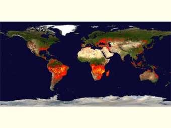 Intercâmbio entre famílias rurais de regiões semiáridas do planeta é caminho para superação dos desafios das mudanças climáticas