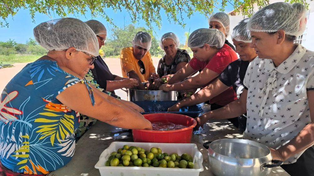 Beneficiamento do umbu diversifica renda e fortalece tradições