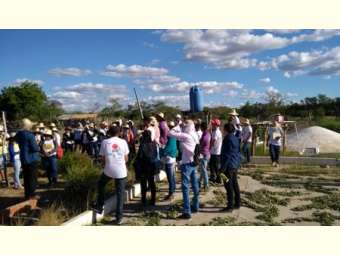 Delegação de escolas municipais do Piauí visitam experiência de Convivência com o semiárido baiano