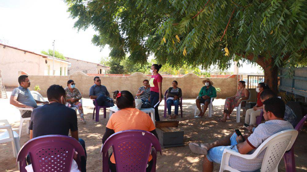 Apicultores/as de Pilão Arcado participam de formação sobre manejo de colmeias