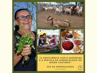 A Convivência com o Semiárido é a prática da Agroecologia no bioma Caatinga