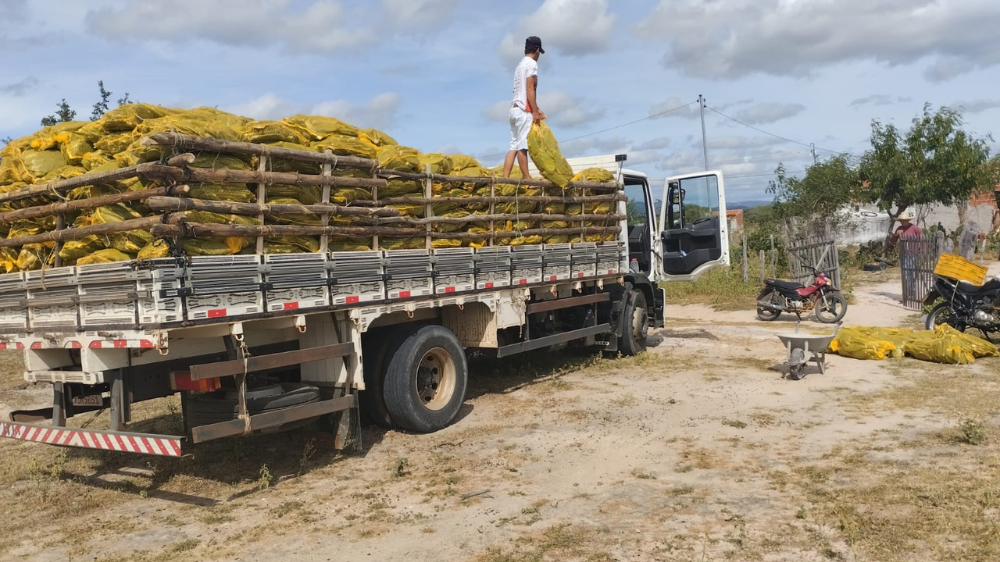 Famílias agricultoras de Juazeiro recebem 50 mil mudas de palma forrageira para potencializar a criação de caprinos e ovinos