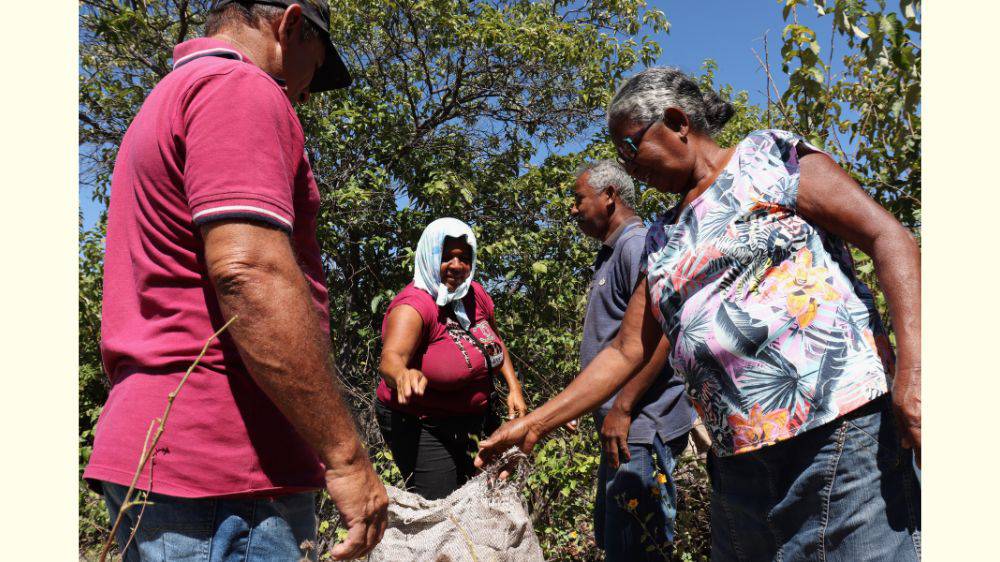 Capacidade de suporte da Caatinga para a caprinovinocultura é tema de formação em Comunidade Tradicional de Fundo de Pasto em Remanso