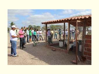 Experiência de criação de galinha em Canoa é visitada durante atividade do Semiárido Produtivo