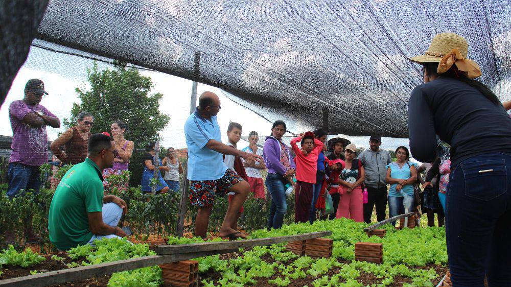 Visitas a experiências de produção agroecológica e de comercialização em Uauá marcam intercâmbio entre comunidades