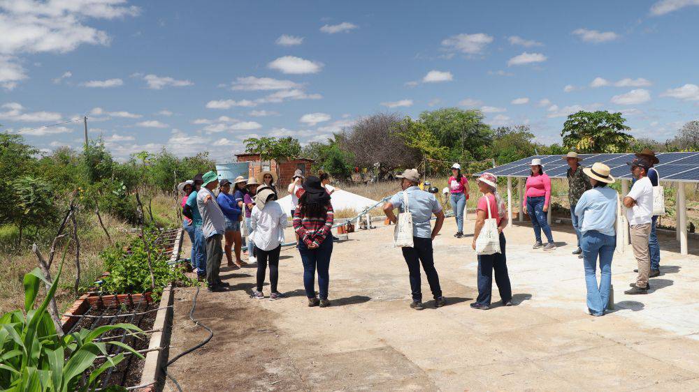 Evento de agricultura realizado em São Luís reúne centenas de produtores  rurais do Estado