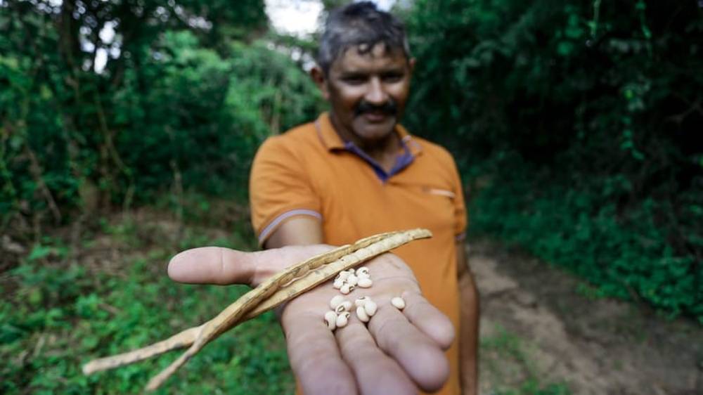 Mais pressão para Governo Federal lançar Plano Nacional de Agroecologia com medidas para reduzir uso de agrotóxicos